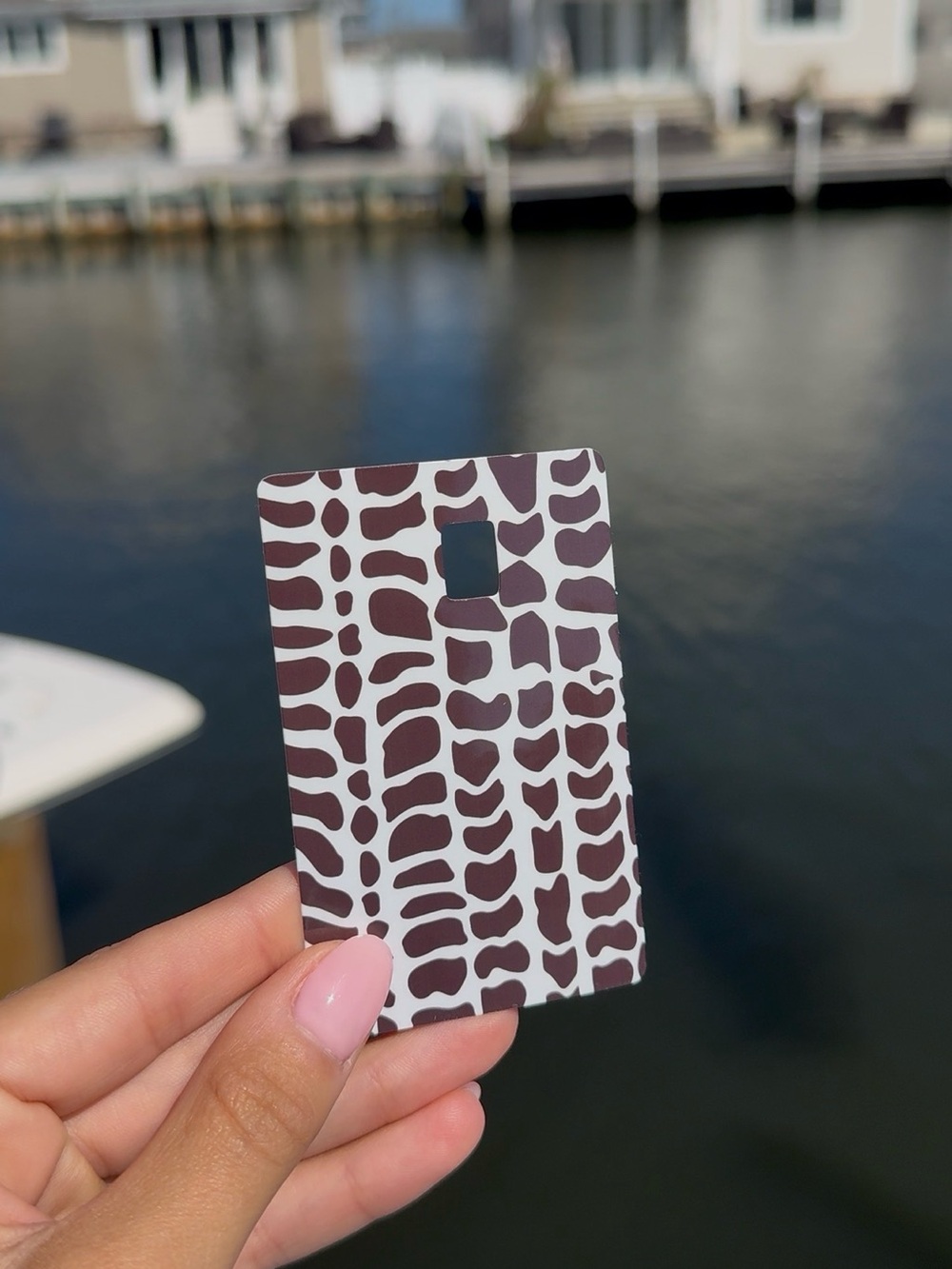 Credit Card Skin